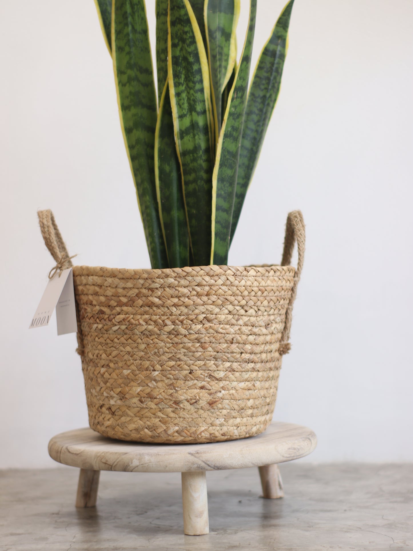Banqueta de Madera