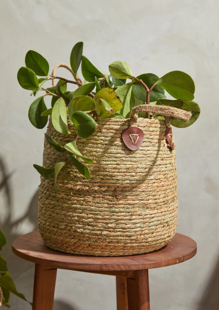 Canasta Madrid - Large