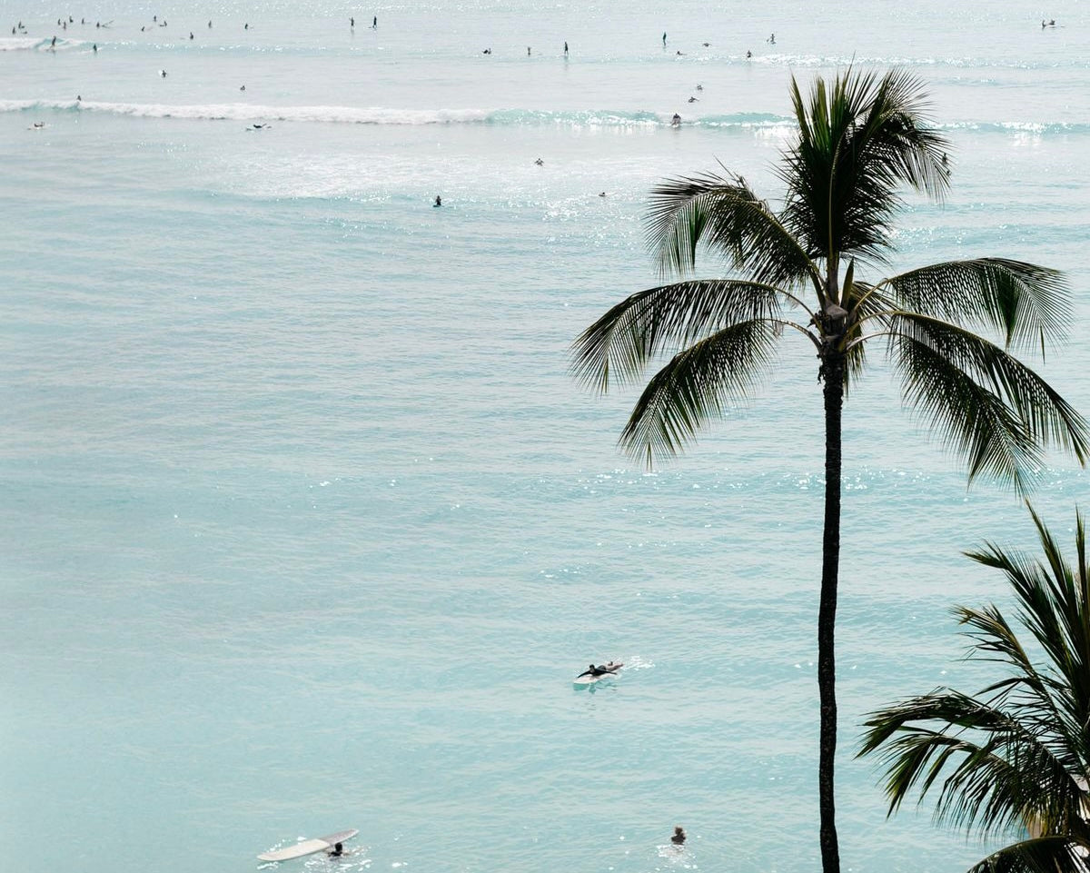 43ed8fd632bcc0245a7f9d6fc45842ac 2.JPG